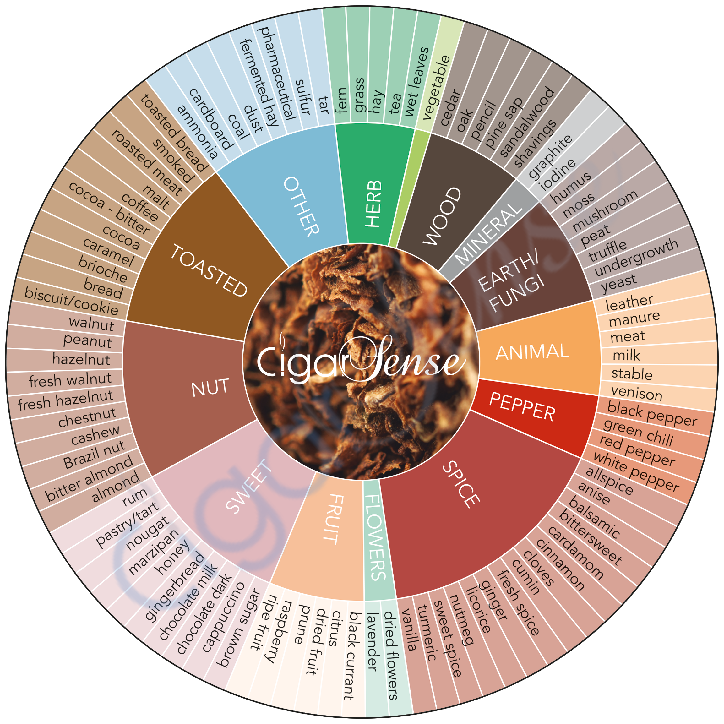 The Cigar Sense Aromas Wheel