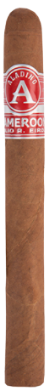JULIO R EIROA ALADINO CAMEROON LONSDALE