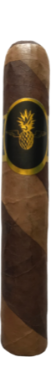DÄHLER BICOLOR ROBUSTO